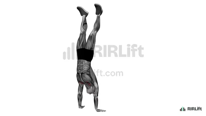 Handstand Hold start position