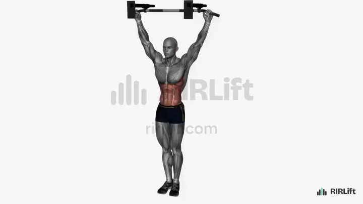 Hanging Knee Raise start position