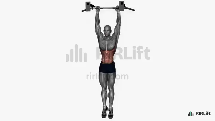 Hanging Oblique Crunch start position