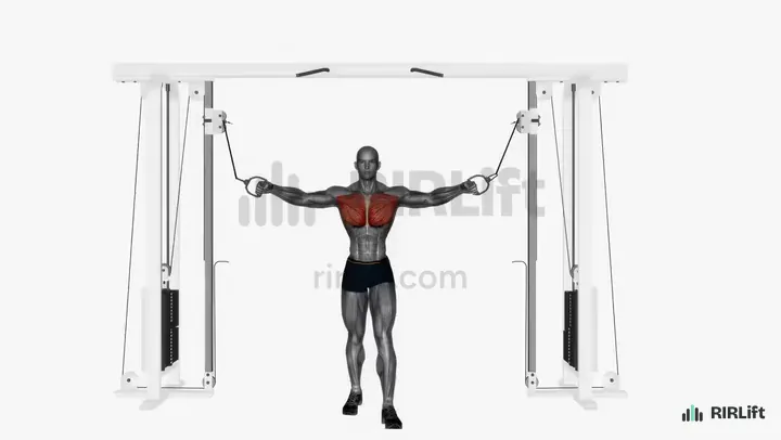 High-to-Low Cable Fly start position