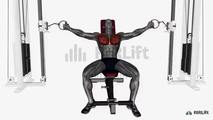 Incline Cable Fly start position