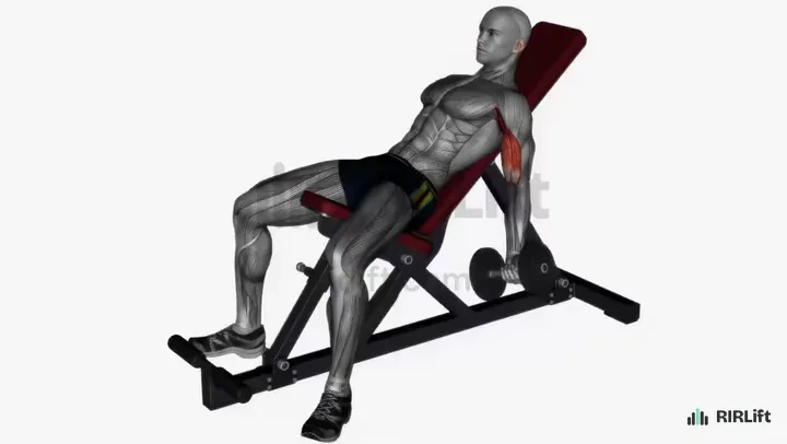 Incline Dumbbell Curl start position
