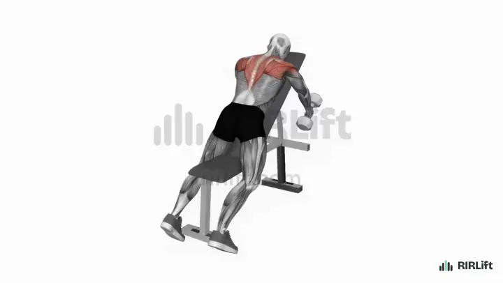 Incline Dumbbell Rear Delt Raise start position