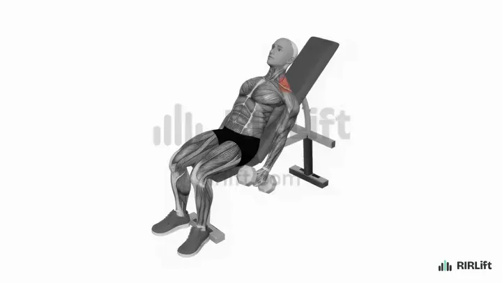 Incline Dumbbell Shrug start position