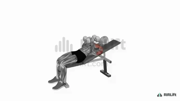 Incline Dumbbell Squeeze Press start position