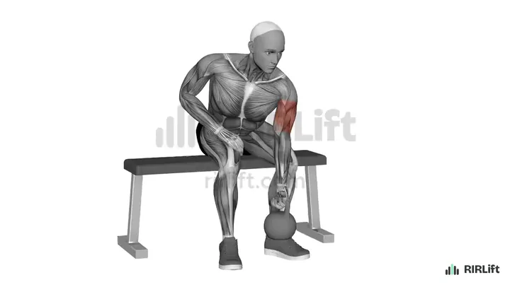 Kettlebell Concentration Curl start position