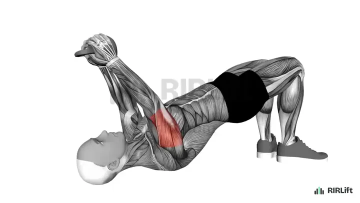 Kettlebell Decline Skullcrusher start position