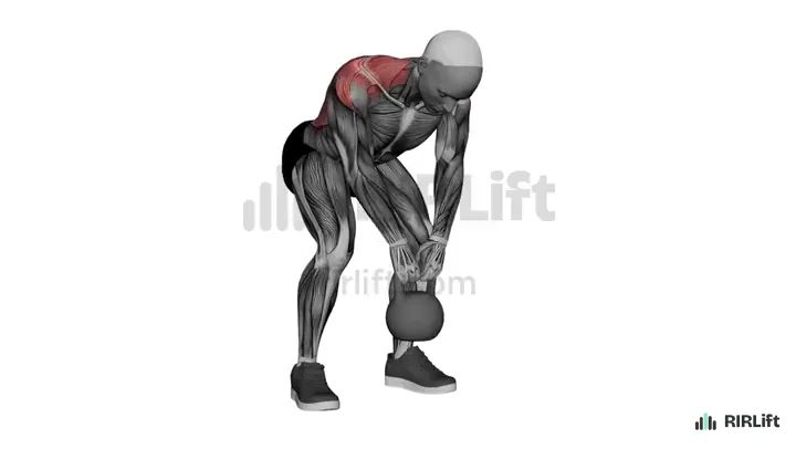 Kettlebell Rear Delt Row start position