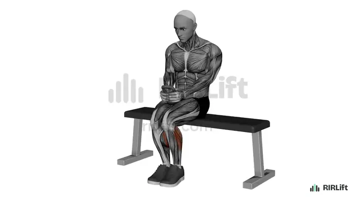 Kettlebell Seated Calf Raise demonstration