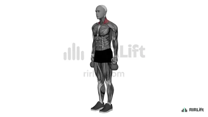 Kettlebell Shrug start position