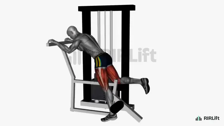Kneeling Leg Curl start position