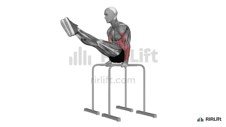 L-Sit Hold demonstration