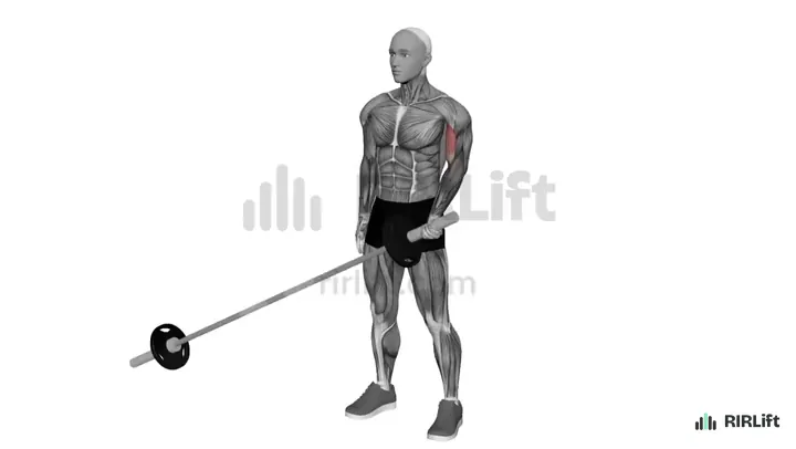 Landmine Curl demonstration