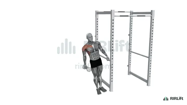 Leaning Dumbbell Lateral Raise start position