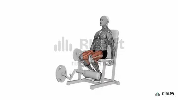 Leg Extension start position
