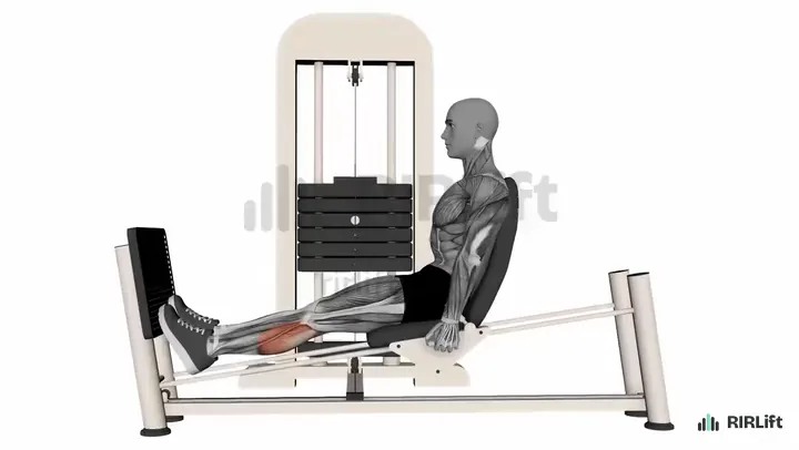 Leg Press Calf Raise start position