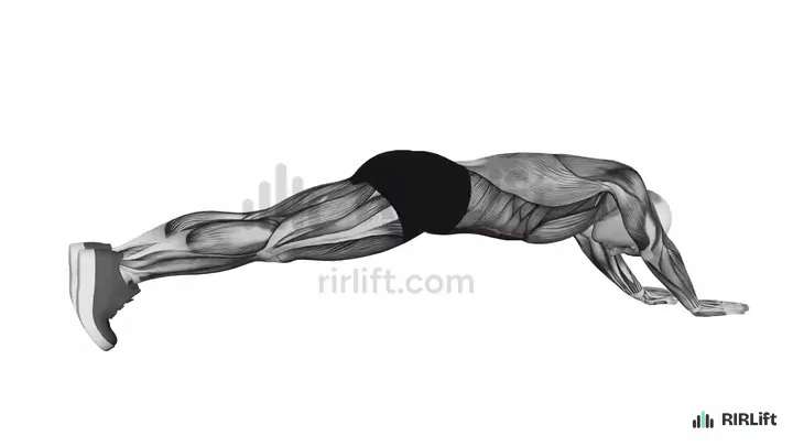 Long Lever Plank start position