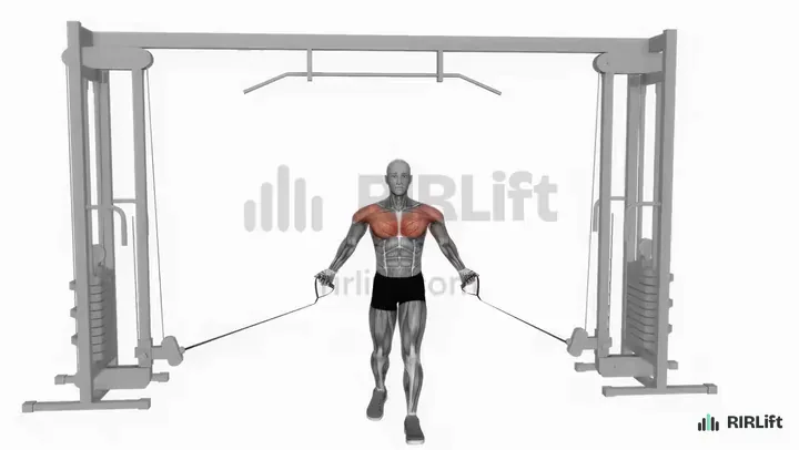Low-to-High Cable Fly start position