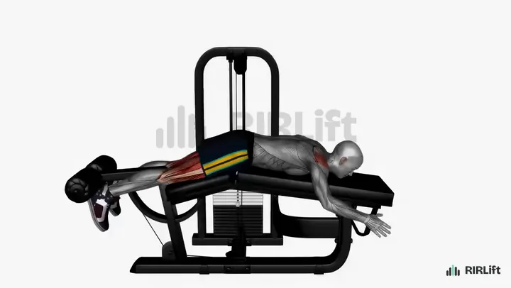 Lying Leg Curl start position