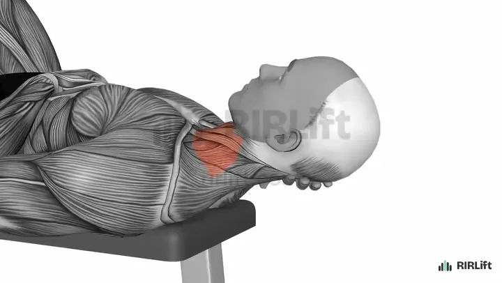 Lying Neck Curl demonstration