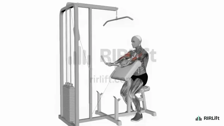 Machine Preacher Curl start position