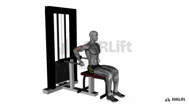 Machine Triceps Dip start position