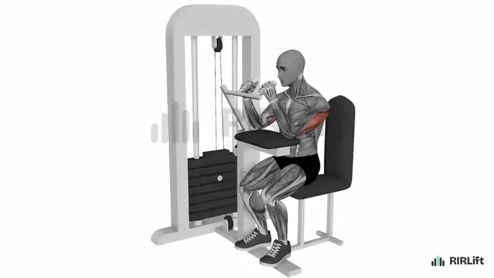 Machine Triceps Extension start position