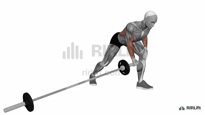 Meadows Row start position