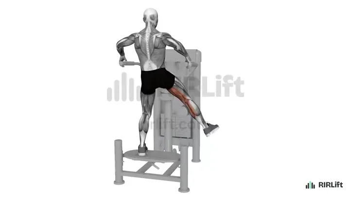Multi-Hip Adduction start position
