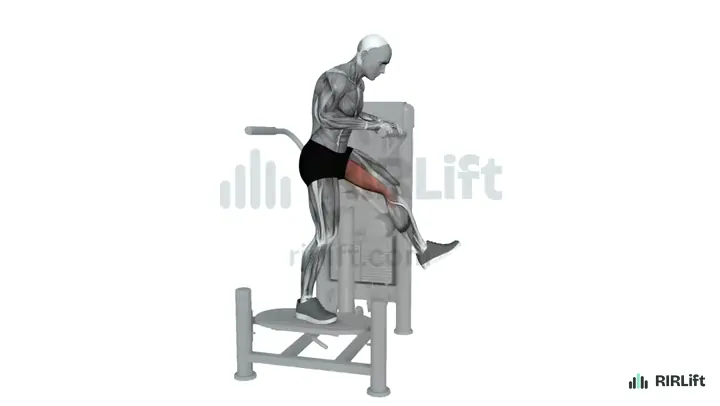 Multi-Hip Glute Extension start position