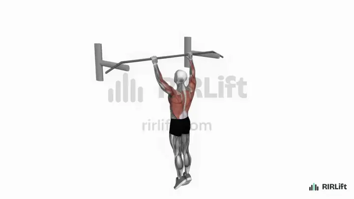 Muscle-Up demonstration