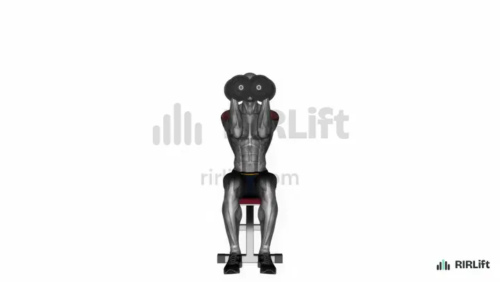 Neutral-Grip Dumbbell Shoulder Press start position