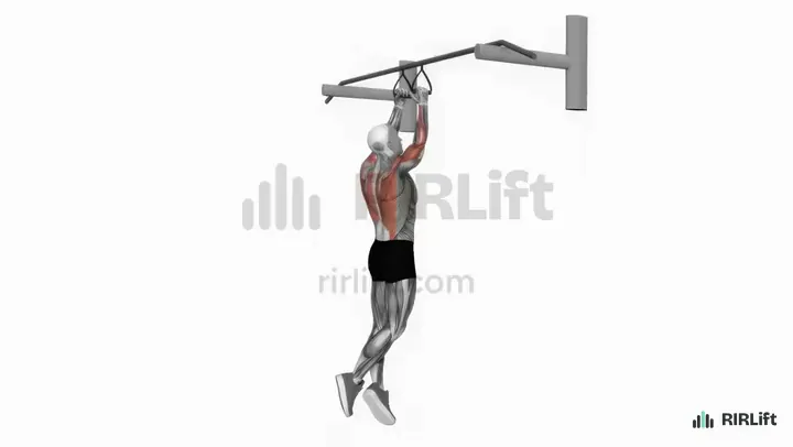 Neutral-Grip Pull-Up start position