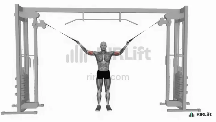 Overhead Cable Curl start position
