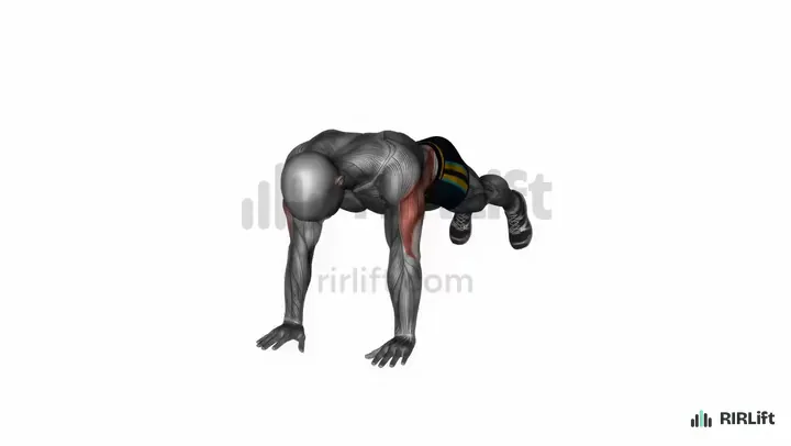 Plank Shoulder Tap demonstration