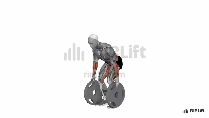 Plate Pinch Deadlift start position