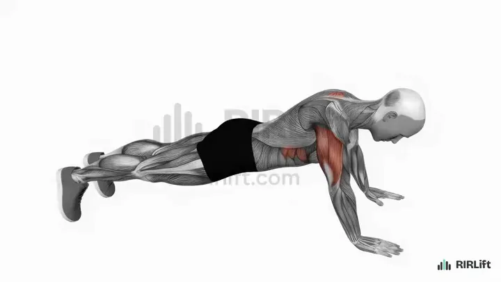 Push-Up Plus demonstration