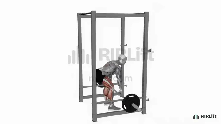 Rack Pull start position