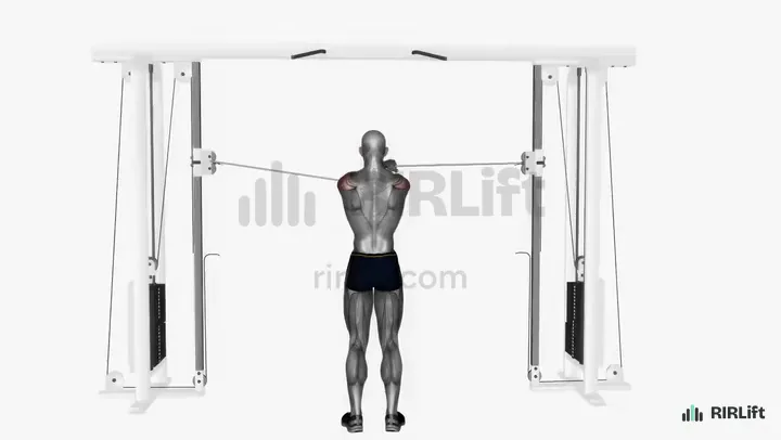 Rear Delt Cable Fly start position