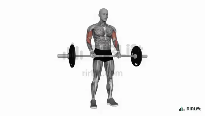 Reverse Curl start position