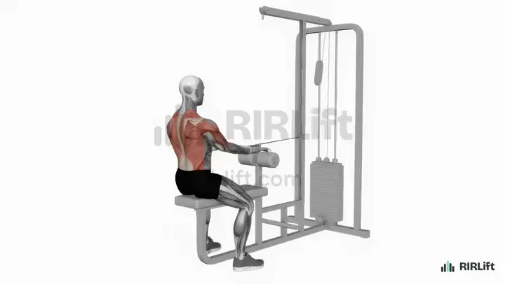 Reverse-Grip Cable Row start position