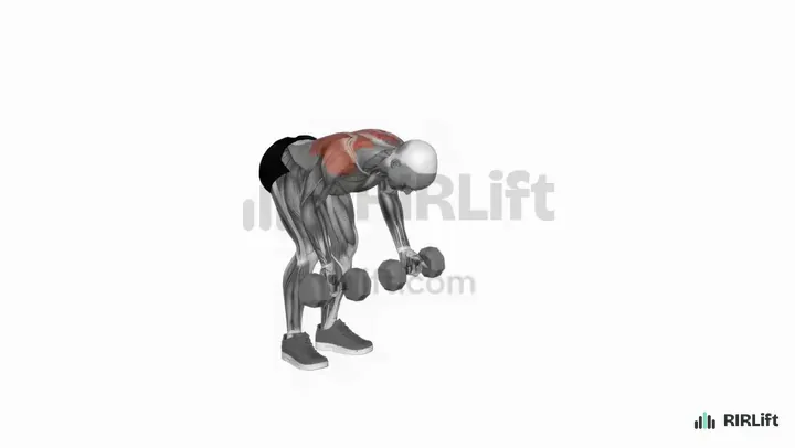 Reverse-Grip Dumbbell Row start position