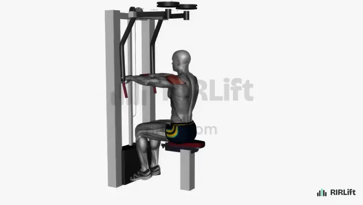 Reverse Pec Deck start position