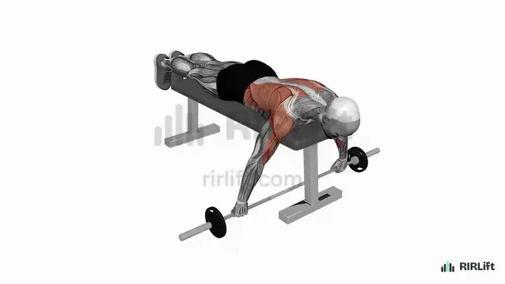 Seal Row start position