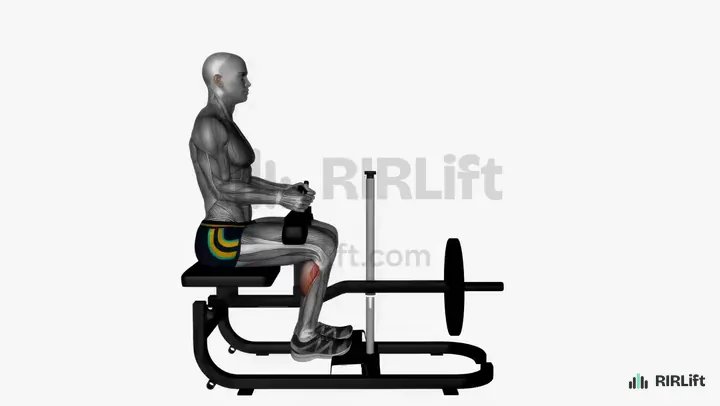 Seated Calf Raise start position