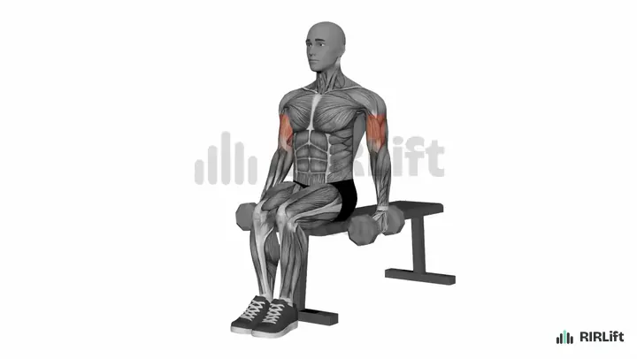 Seated Dumbbell Hammer Curl start position