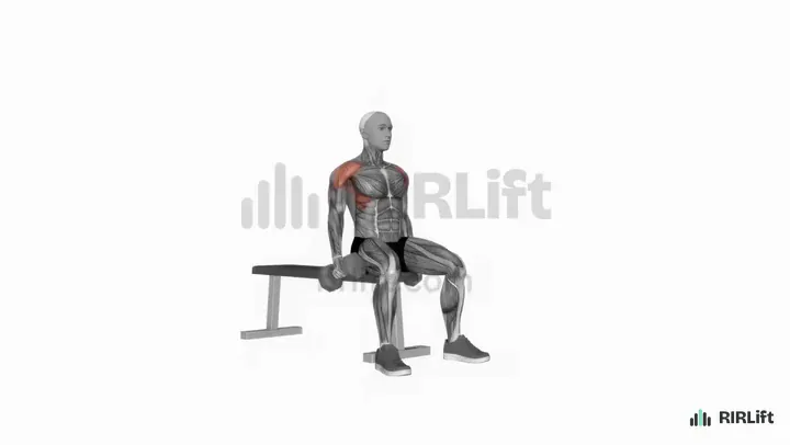 Seated Dumbbell Lateral Raise start position