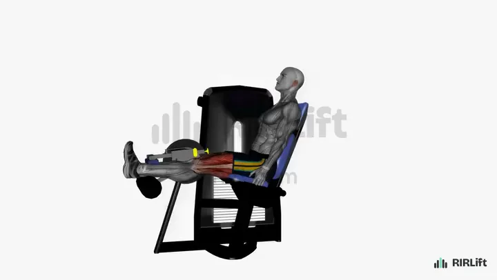 Seated Leg Curl start position