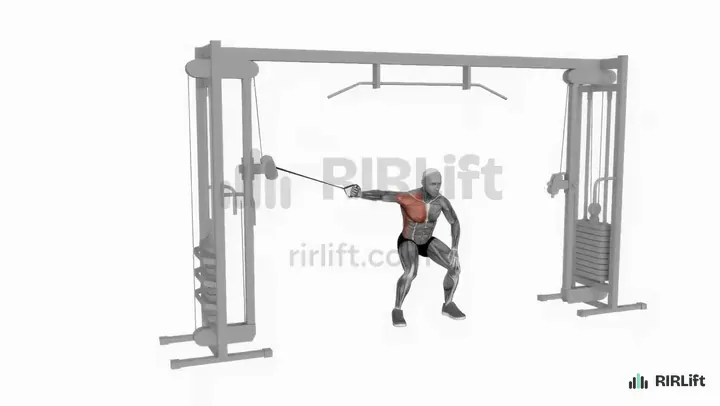 Single-Arm Cable Fly demonstration