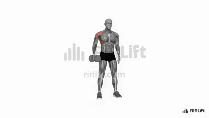 Single-Arm Dumbbell Lateral Raise start position